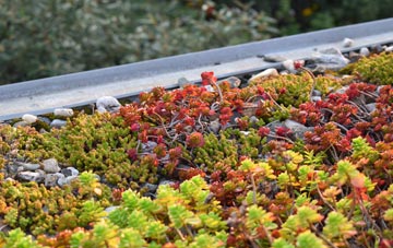 the cost of Bryans green roof installation