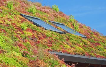 Bryans living roof systems