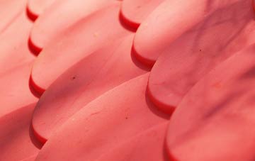 Bryans plastic roof costs