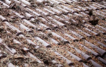 Bryans roof cleaning companies