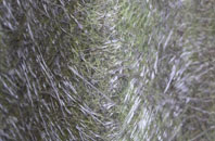 Bryans fibreglass roof work